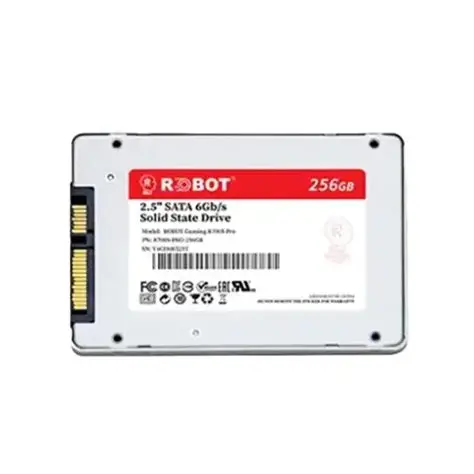 ROBOT Gaming R900S Pro 256GB M.2 PCIe NVMe SSD